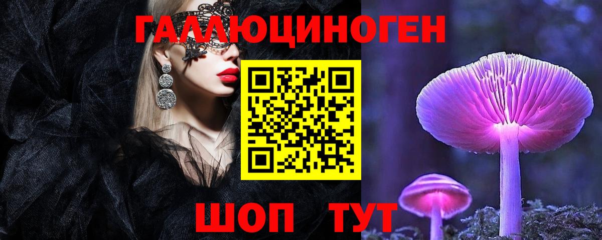 Галлюциногенные грибы Psilocybe  Галлюциногенные грибы Psilocybe  Жуковский  магазин  наркотиков  Вход с VPN 