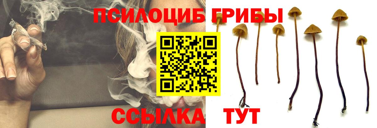 A-PVP Жуковский