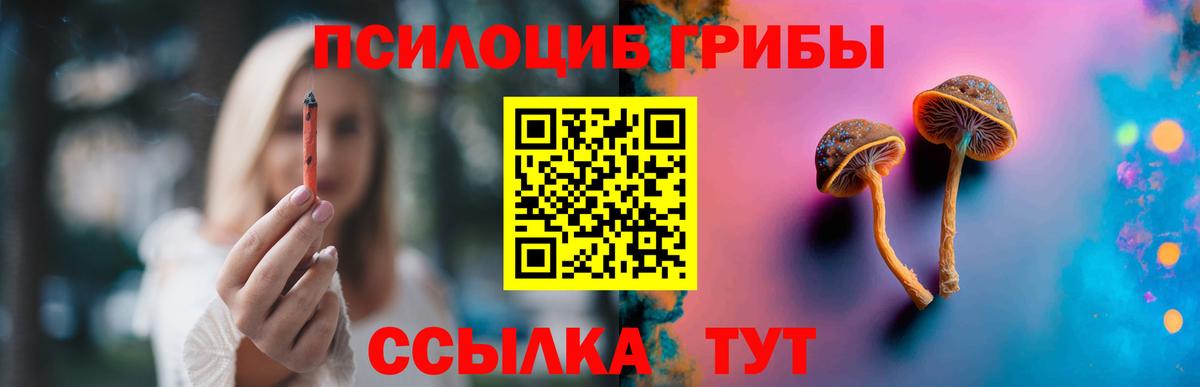 Псилоцибиновые грибы прущие грибы Жуковский